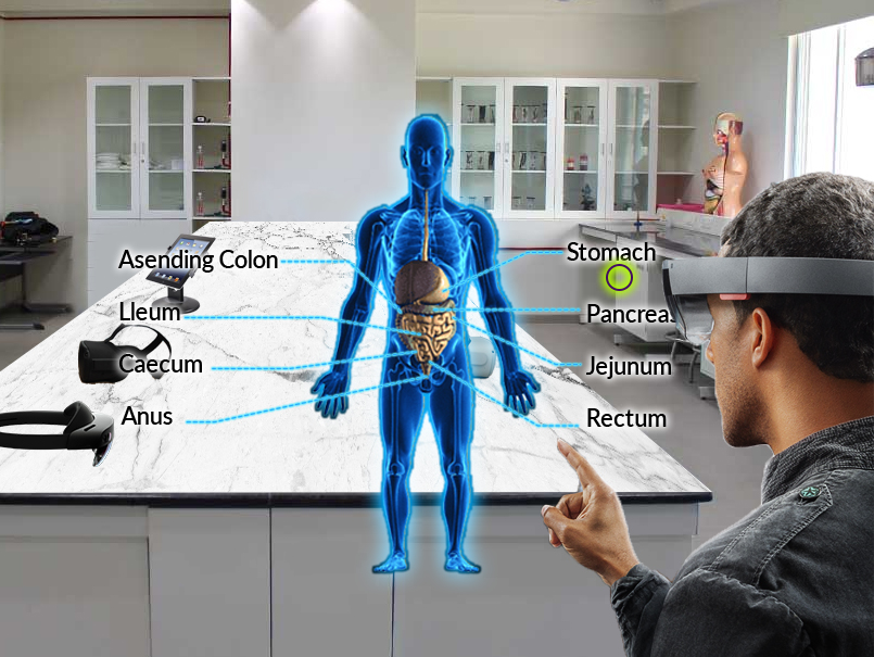 Virtual Labs and Simulations